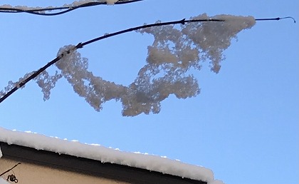 画像に alt 属性が指定されていません。ファイル名: IMG_4586-1.jpg